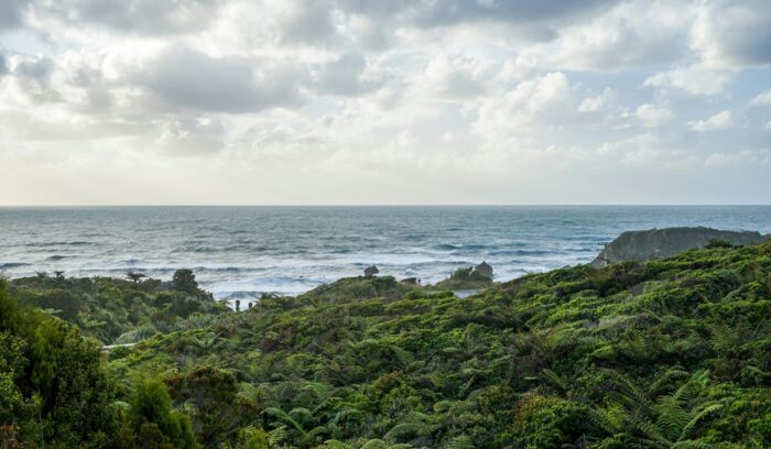 The beach with vegetation in foreground, for article on legal rights for ocean waves