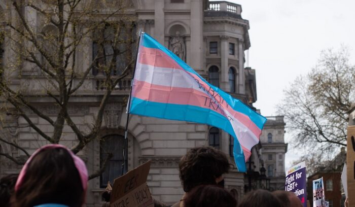 Trans pride flag