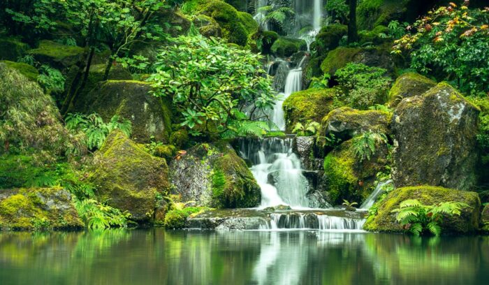 Waterfall and pool below