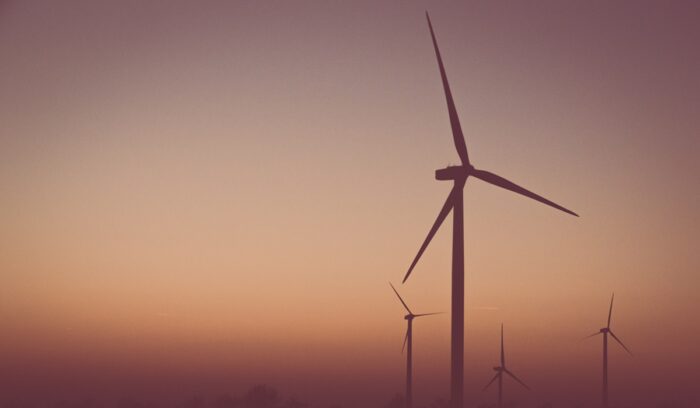 Wind turbines, for article on Red Sea wind farm