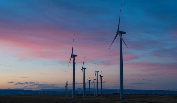 Wind turbines at dusk, for article on floating solar auction