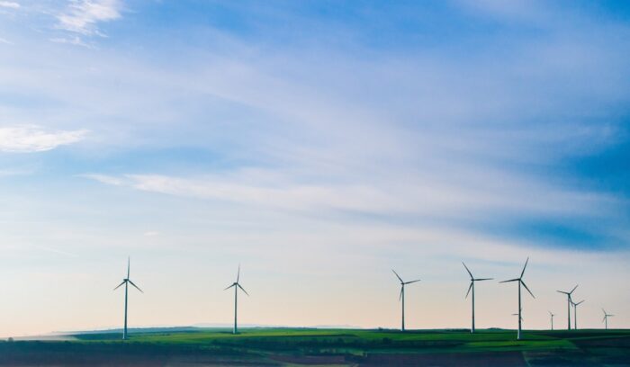 Wind turbines in a field