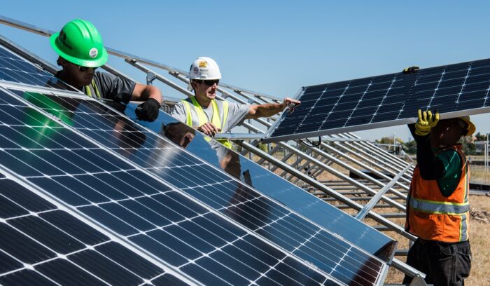 Workers installing solar panels|Palm trees