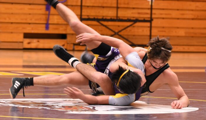 Wrestling, for article on early sport evidence