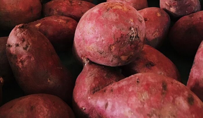 Yams, for article on West African yam cultivation