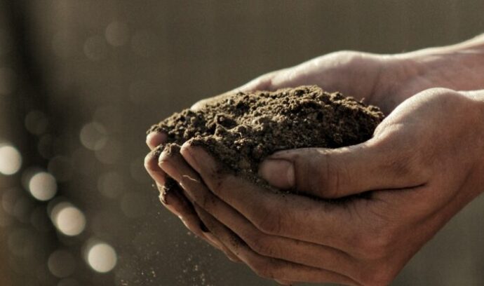 Hands holding soil