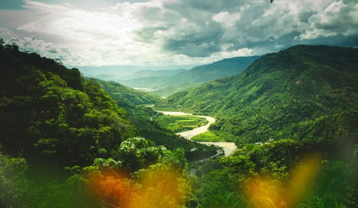 Good news for Indigenous rights and climate, for article on Indigenous land titles