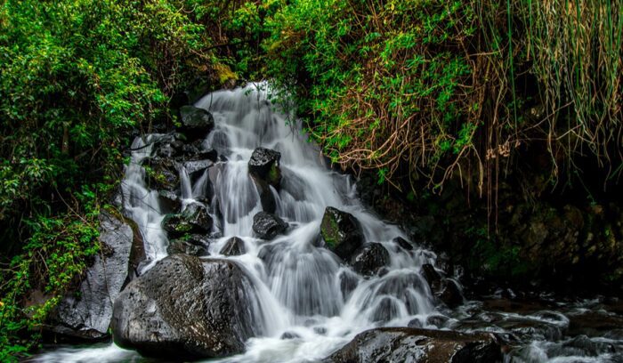 image for article on rights of nature ruling