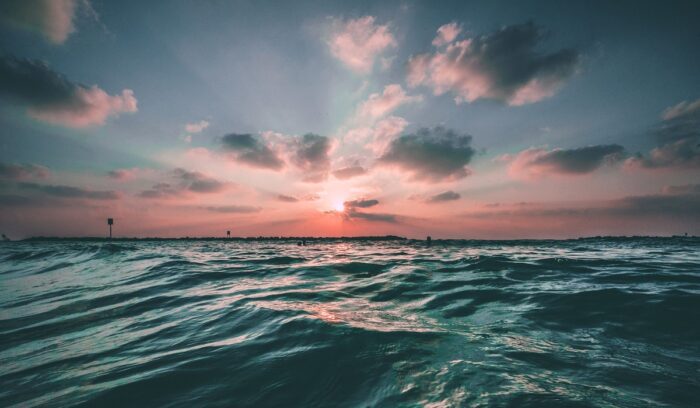 Good news for marine protection, for article on Australia ocean protection