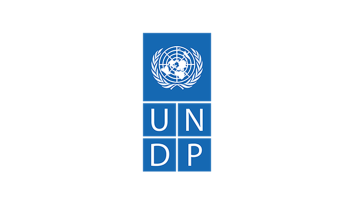 UNDP logo