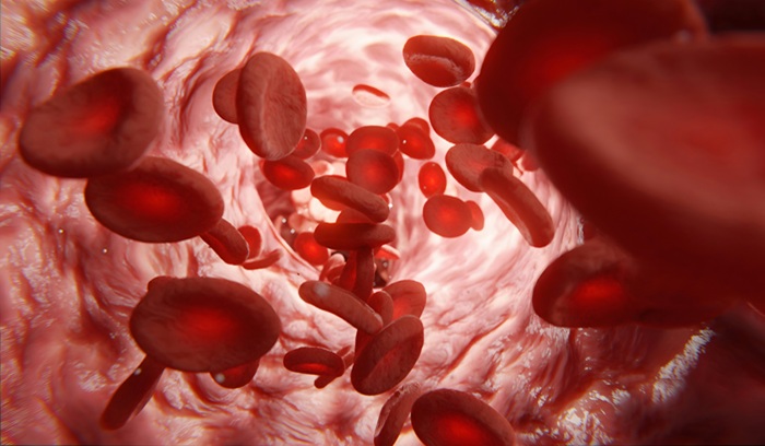 Illustration of red blood cells