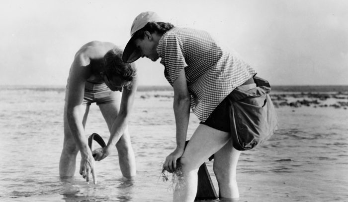 Carson and Bob Hines researching off the East Coast in 1952, for article on Rachel Carson sea trilogy