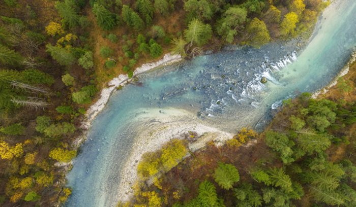 Aerial view of the forested Klamath River canyon for an article about Yurok land back in California