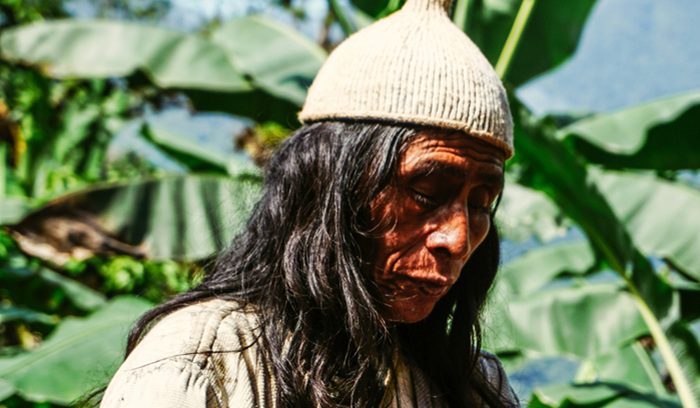 A river winding through the Colombian Amazon rainforest for an article about Indigenous mercury ruling — 13 words