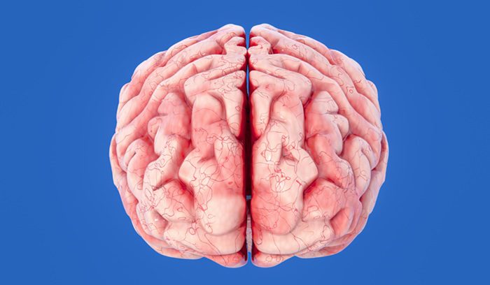 A neuroscientist reviewing brain activity data on a monitor for an article about epilepsy drug RAP-219