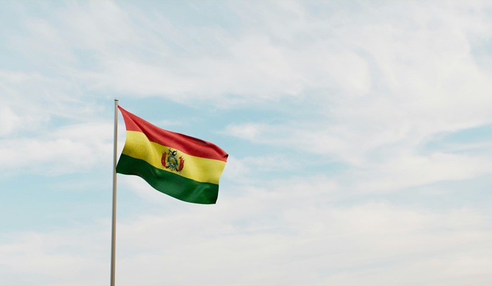 Bolivian flag