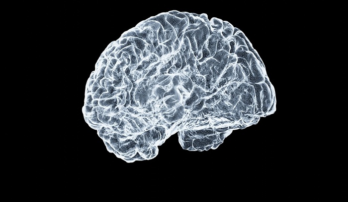 Black and white illustration of human brain