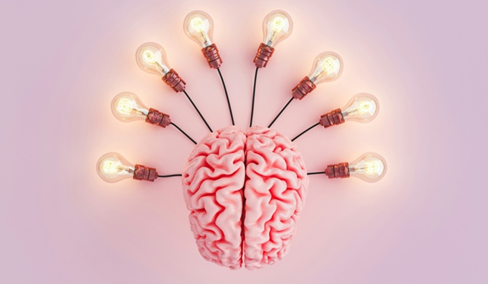 It’s not just the right brain that’s creative