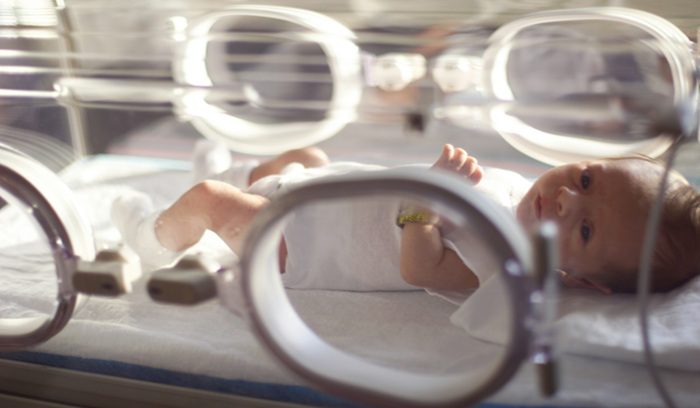 A parent's hand resting beside a premature infant in a hospital bassinet, for an article about paid neonatal leave