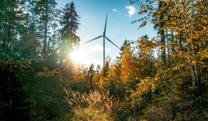 Wind turbines and solar panels generating power across a European landscape for an article about European renewable energy