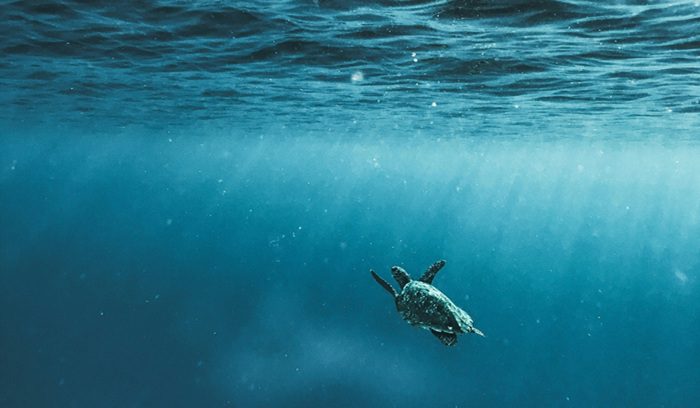 Aerial view of deep blue open ocean waves for an article about the UN high seas treaty