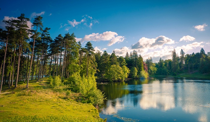 Lakes, for article on coal mine restoration