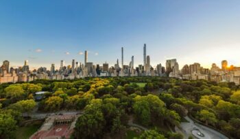 New York City park, for article on urban forest plan