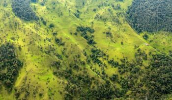 Colombia hillside, for article on cattle traceability law, for article on cattle traceability law, for article on cattle traceability law