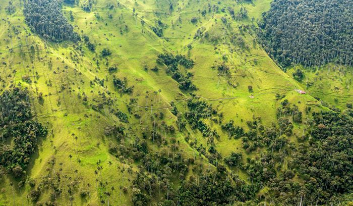 Colombia hillside, for article on cattle traceability law, for article on cattle traceability law, for article on cattle traceability law